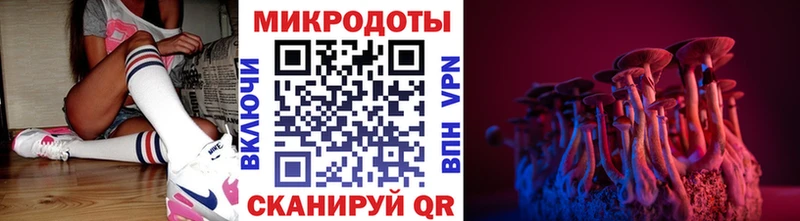 Купить где  Знаменск  Псилоцибиновые грибы Psilocybe 