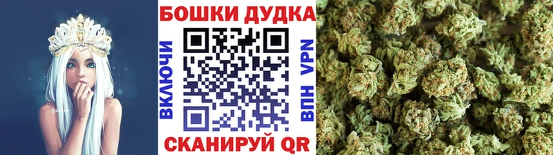 Конопля Bruce Banner  Купить где  Знаменск 